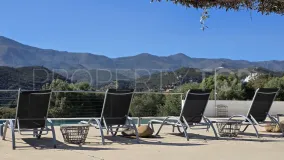 Puerto Romano villa for sale