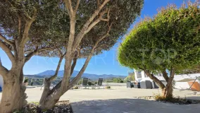 Puerto Romano villa for sale