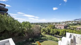 Buy penthouse in Los Flamingos