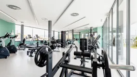 Buy duplex penthouse with 3 bedrooms in Estepona East