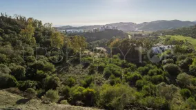 Se vende parcela en Los Almendros