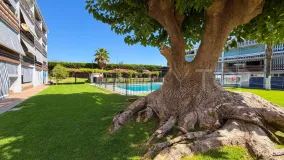 Se vende apartamento en Cortijo Blanco de 1 dormitorio