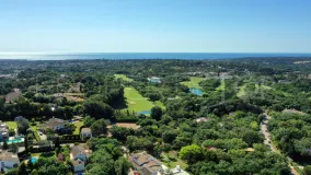 For sale Sotogrande plot