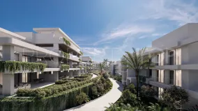 Se vende apartamento planta baja en El Padron