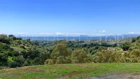 For sale La Panera plot