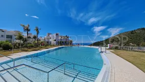 Comprar apartamento planta baja en Palo Alto con 3 dormitorios