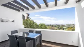 Buy 3 bedrooms duplex penthouse in Los Flamingos