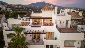 Se vende atico duplex de 3 dormitorios en Lomas del Marqués