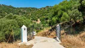 Finca for sale in Casares