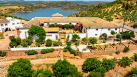 For sale Montoro estate with 19 bedrooms