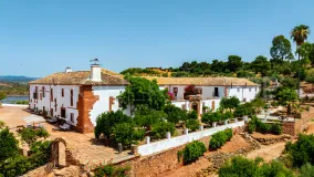 For sale Montoro estate with 19 bedrooms