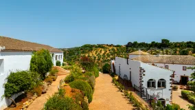For sale Montoro estate with 19 bedrooms