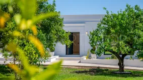 Estepona 5 bedrooms country house for sale