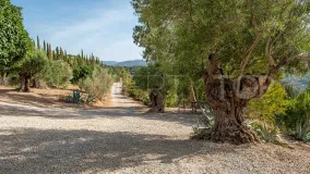 Country house for sale in Gaucin