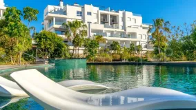Punta Prima, apartamento de 4 dormitorios en venta