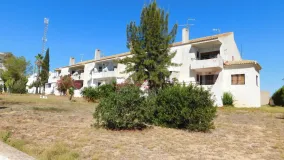 Buy apartment in Rioja